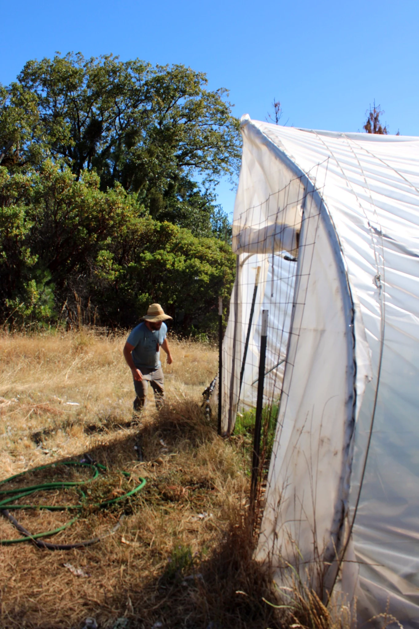 Farmer walking beside a hoop house