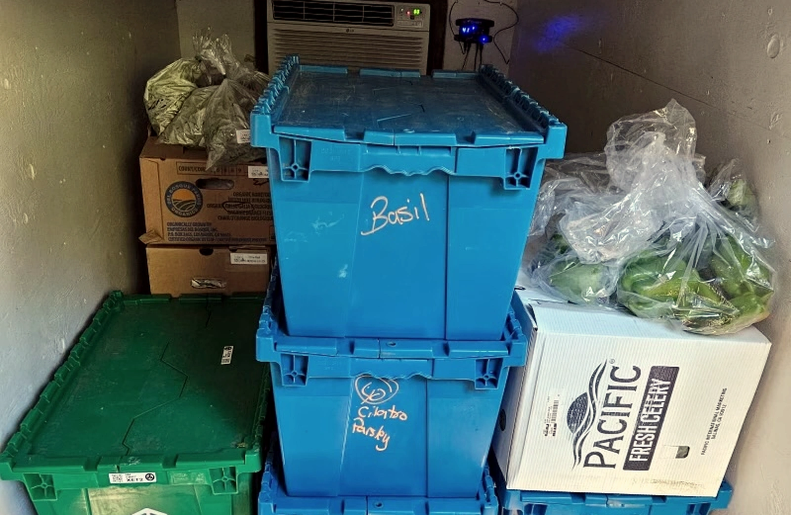 Packed CSA produce bins and fresh vegetables ready for load out