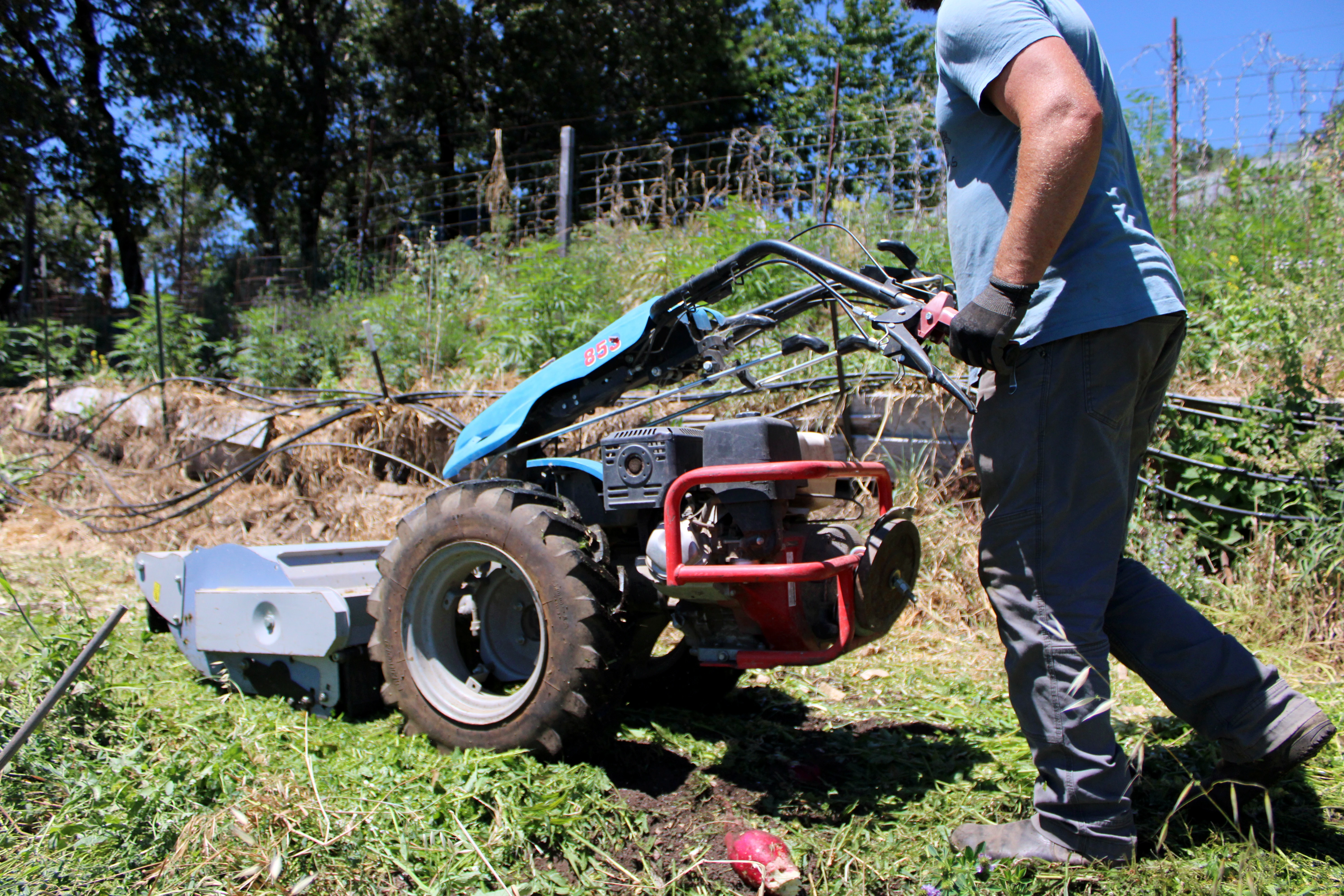 Walk-behind tractor being used in the field